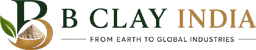 B Clay India Logo